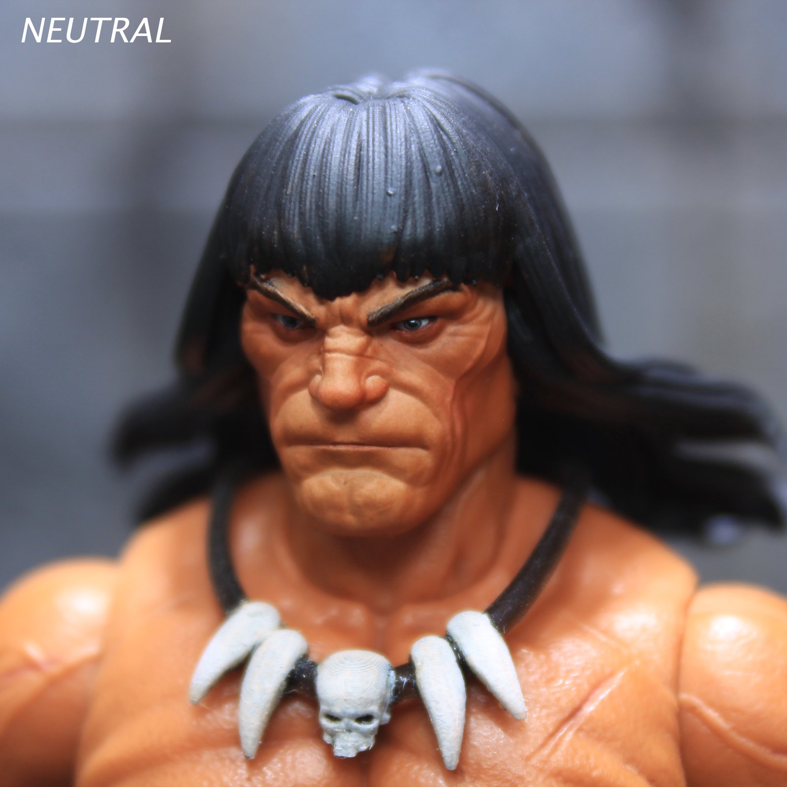 Barbarian | VAULT Custom Figures